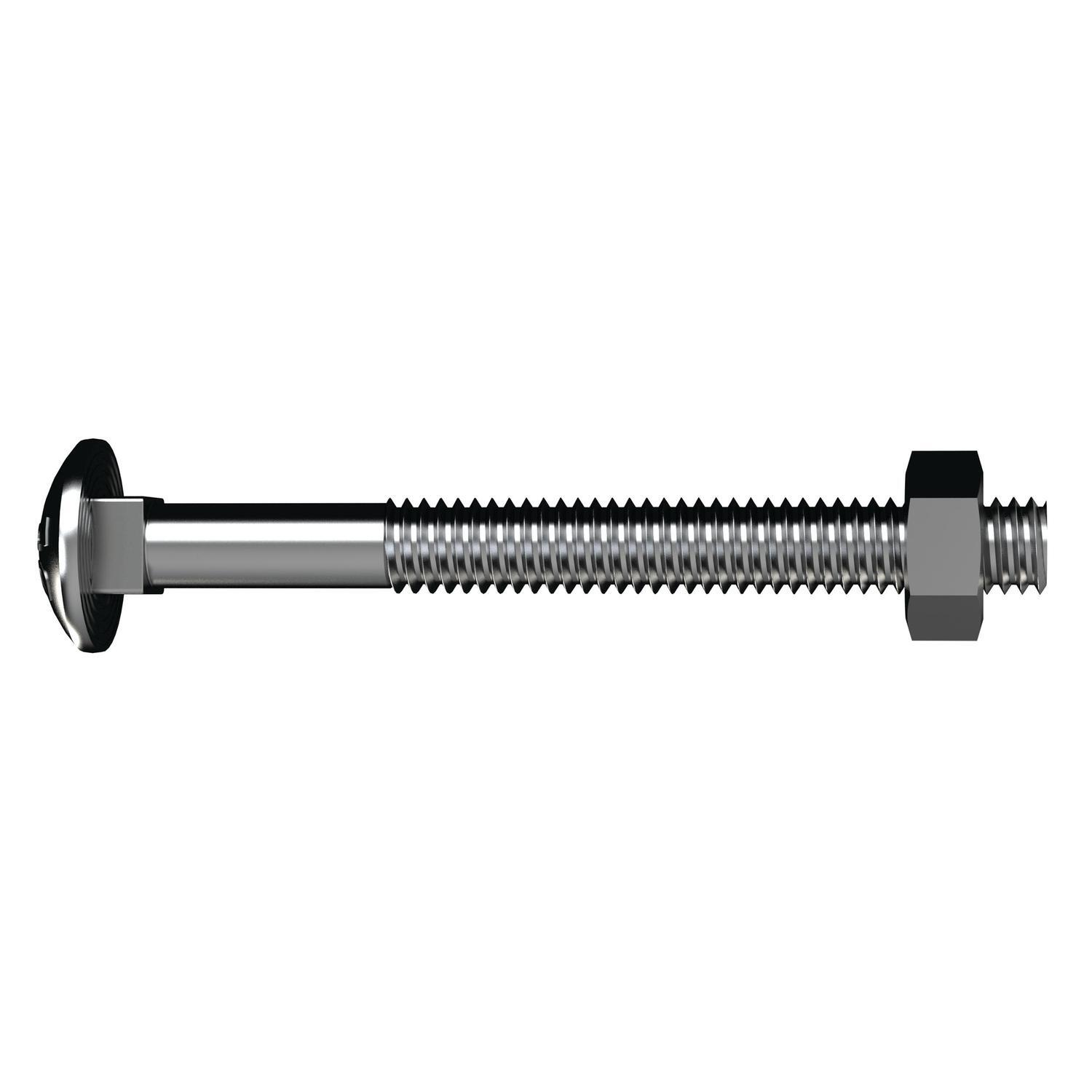 Coach Bolts & Nuts