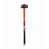 Demo Sledge Hammer 8lb