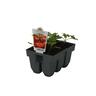 Tomato Combo Pack Pack of 6 Tomato Combo Pack Pack of 6