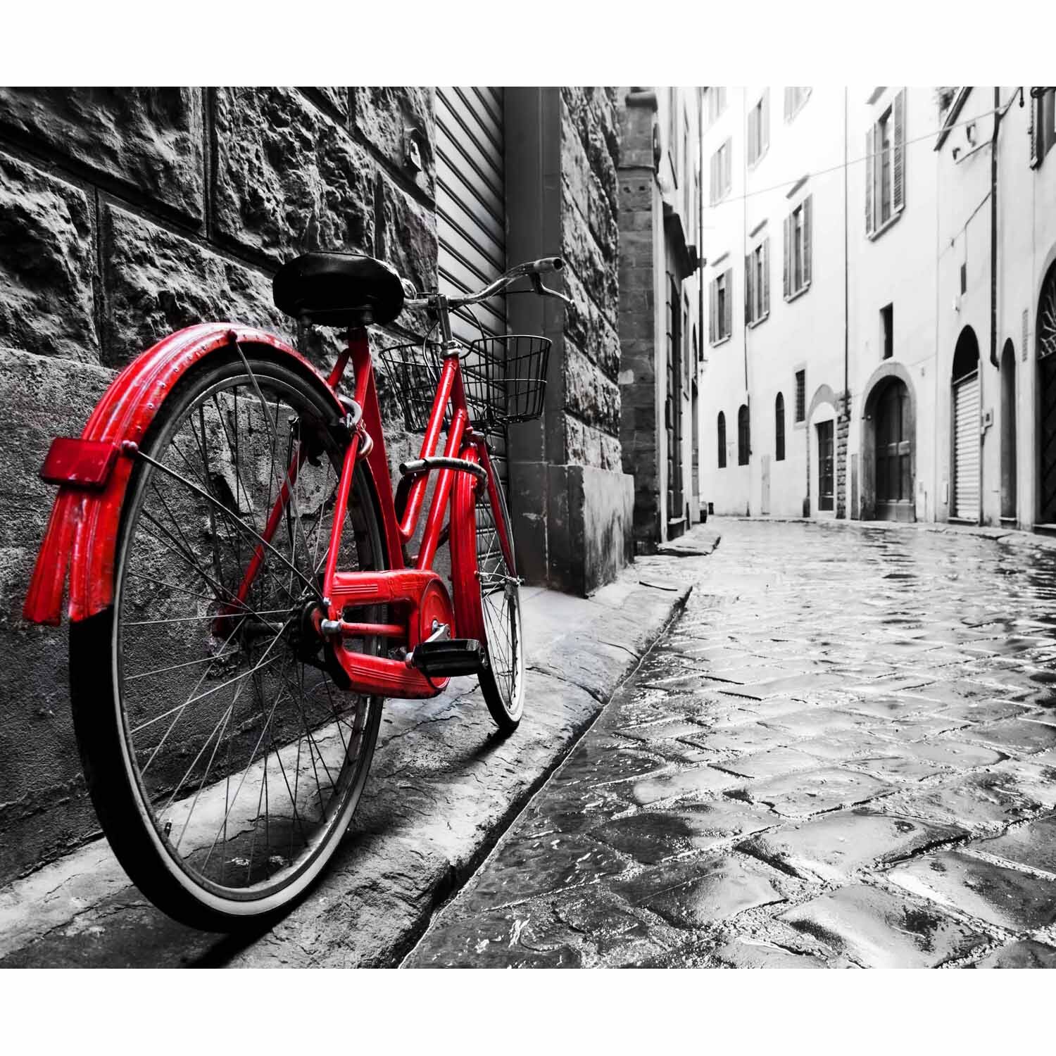 Splashback Bike