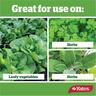 Natural Based Vege & Herb Fertiliser