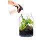 TERRARIUM GLASS JAR