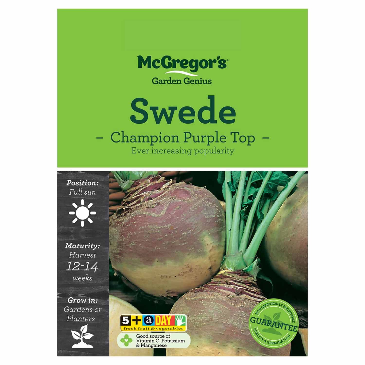 Purple Champion Swede  Vegetable Seed