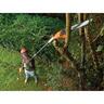 800W 25cm Electric Pole Saw