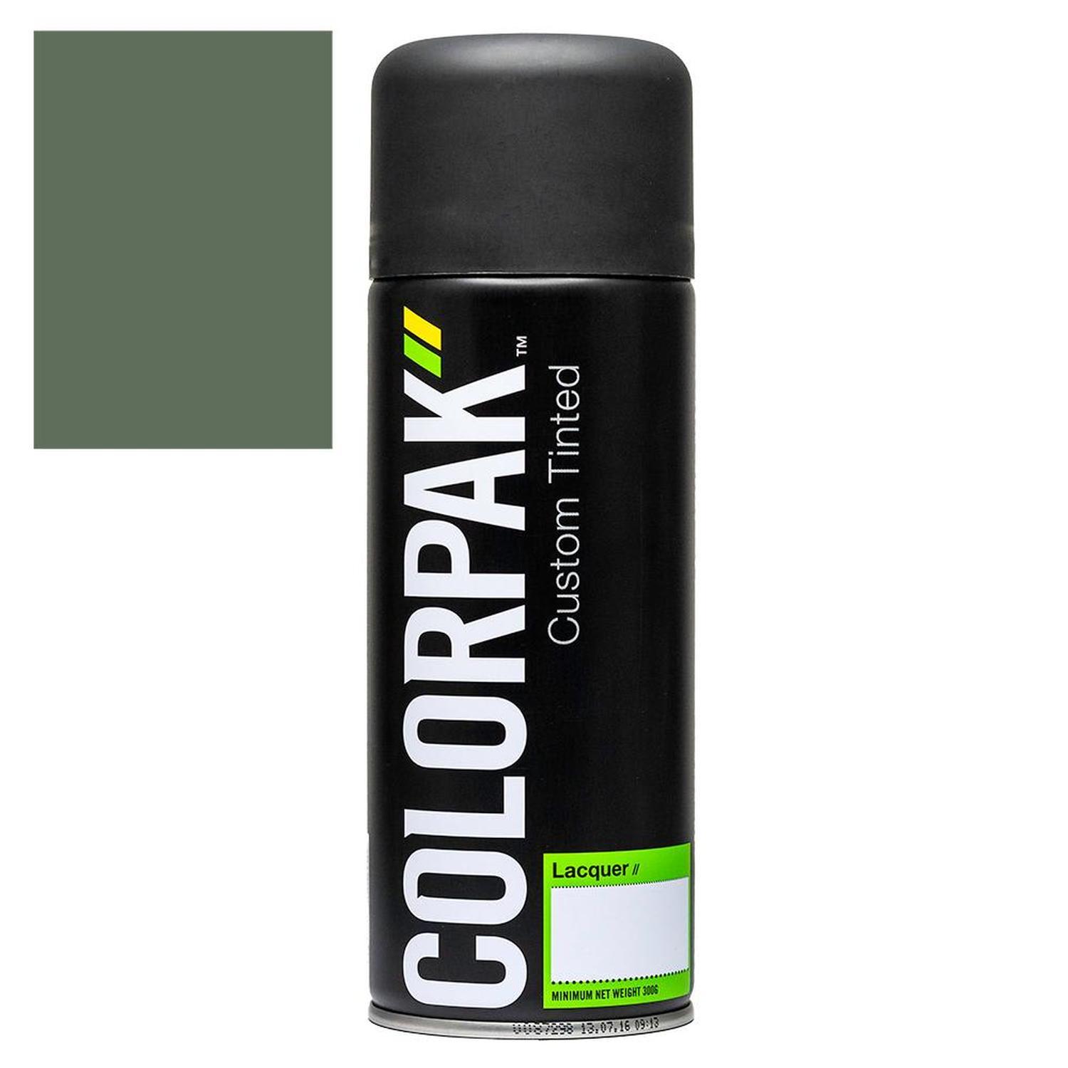 Coloursteel Aerosol