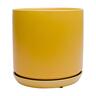 Indoor Adelle Pot and Saucer 6cm Mustard