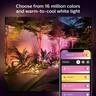 Hue Linear Outdoor Light Amarant