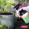 Indoor Natural Fertiliser Spray