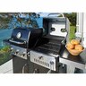 Hydra Gas & Charcoal Combo BBQ