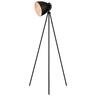 Edithvale Tripod Floor Lamp 154cm Black