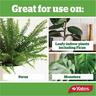 Indoor Liquid Plant Food Drippers