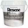 Cemseal Concrete sealer and dust coat 4L Clear