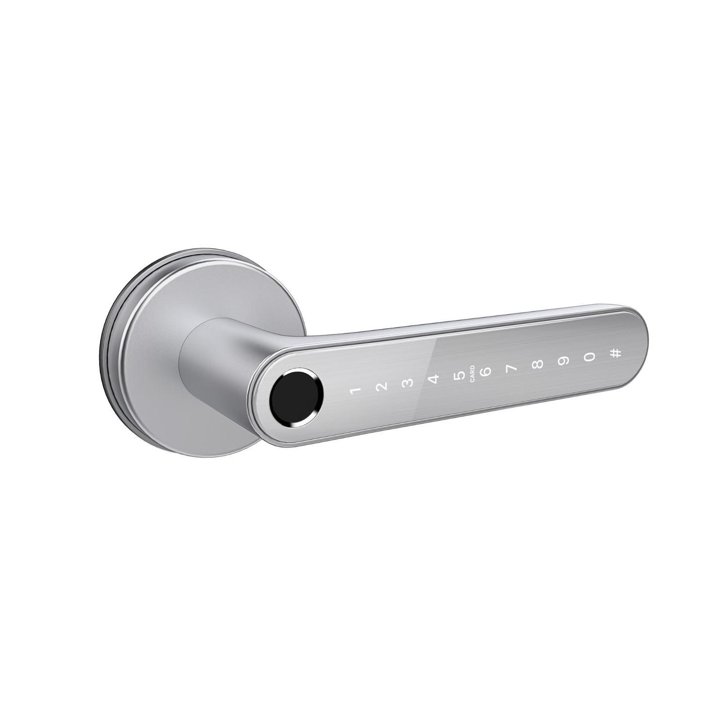 Smart Lever on Rose Silver