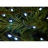 Low Voltage 1000 LED String Lights