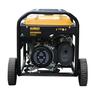 DeWalt Industrial Petrol Generator 8.9KVA