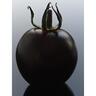 Tomato Yoom