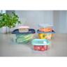 Nested Food Storage Container Square 5 Pack