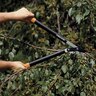 Powergear Lopper L78