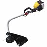 Petrol Line Trimmer, 4-Stroke