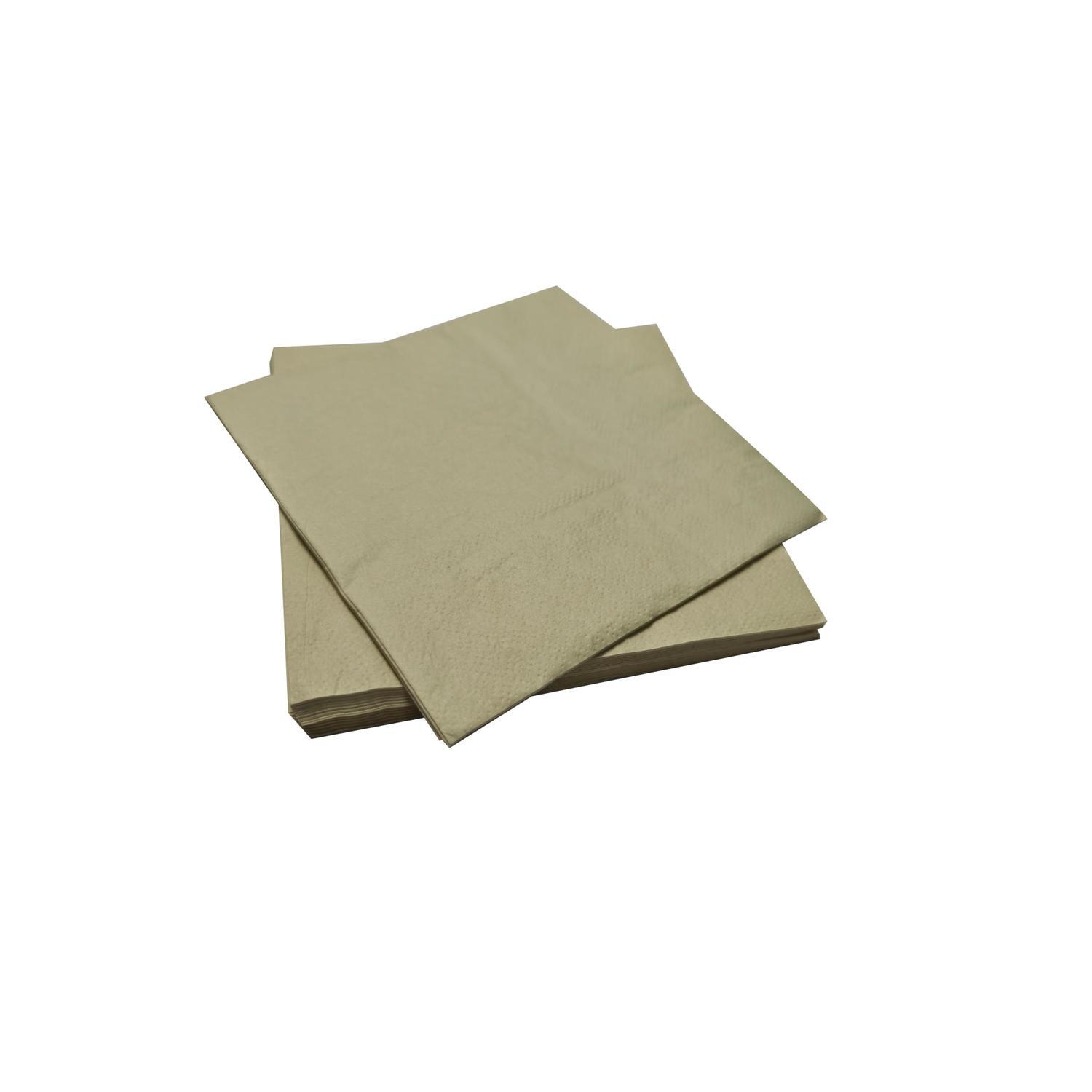 Disposable Napkins 20 pack