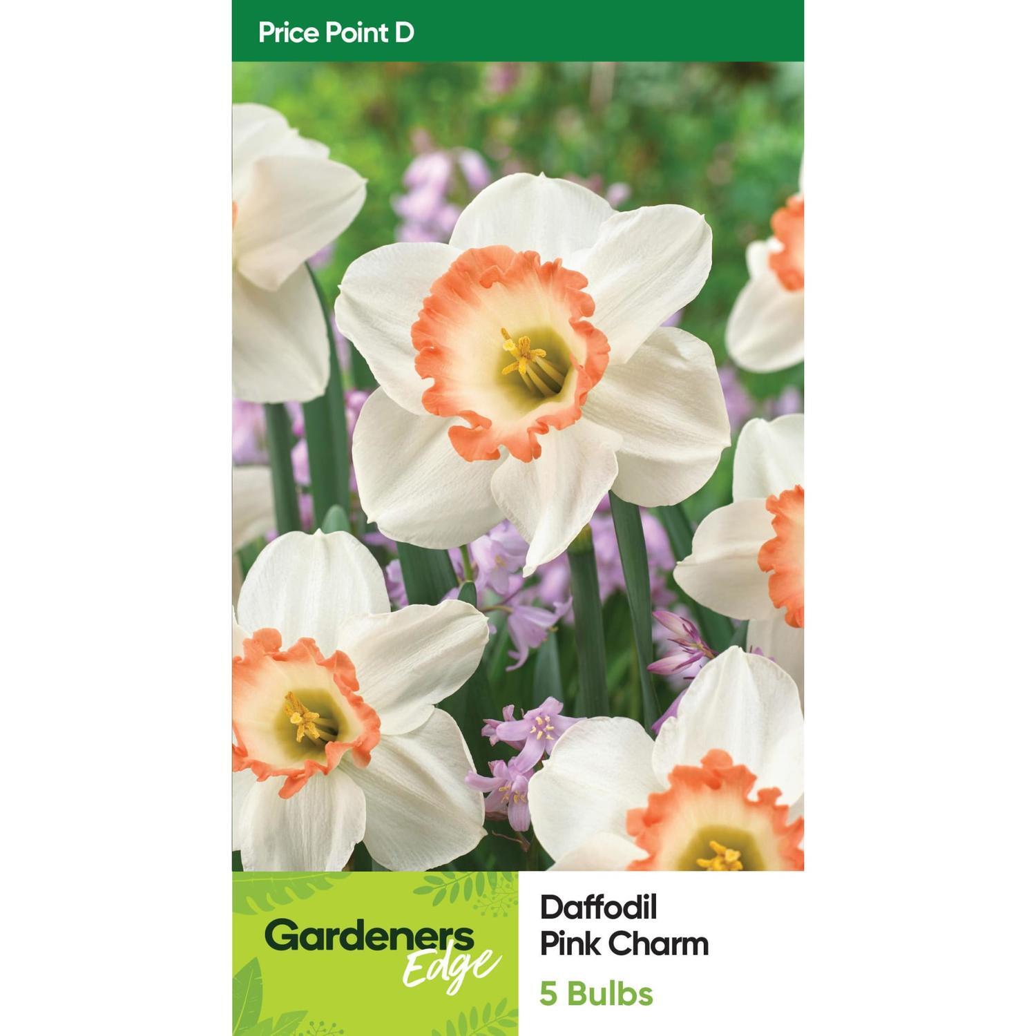 Daffodil Pink Charm Pack of 5