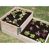 Raised Garden Bed