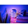 Solar Ceramic Light