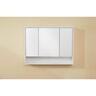 LED MIirror Cabinet H: 700mm W: 900mm D: 160mm White