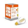 LED Dimmable Classic GLS Filament