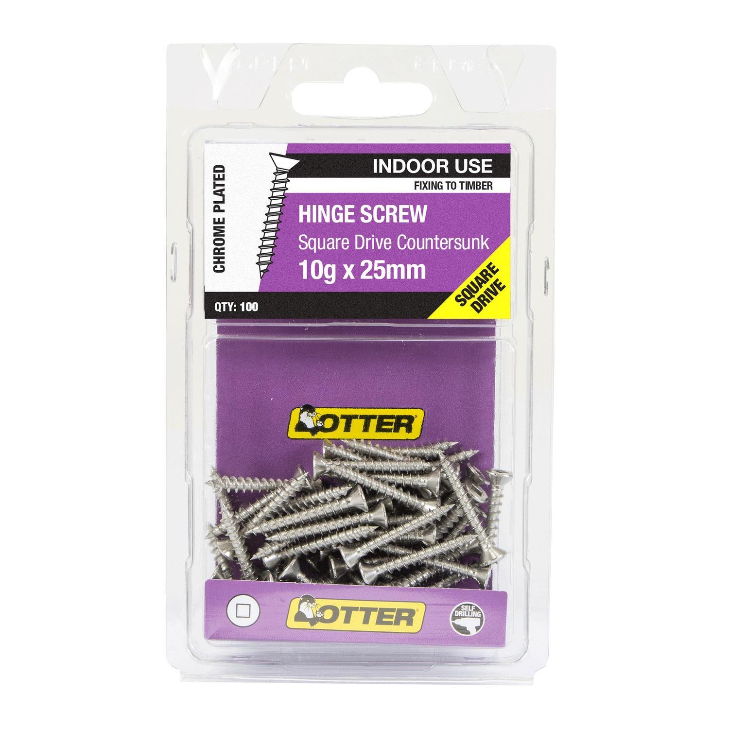 Hinge Screws