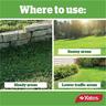 Lawn Seed Sun & Shade 1kg