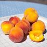 Peach ‘Peacherine’