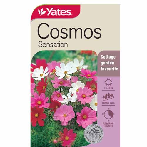Cosmos Sensation