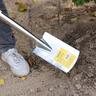 Stainless Steel D-Handle Border Spade
