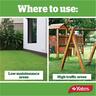 Yates Lawn Seed Sow Anytime 1kg