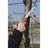 Pruning Saw