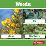 Tough Heavy Duty Weedkiller Refill Pack