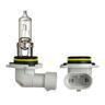 Globe 12 Volt 55 Watt