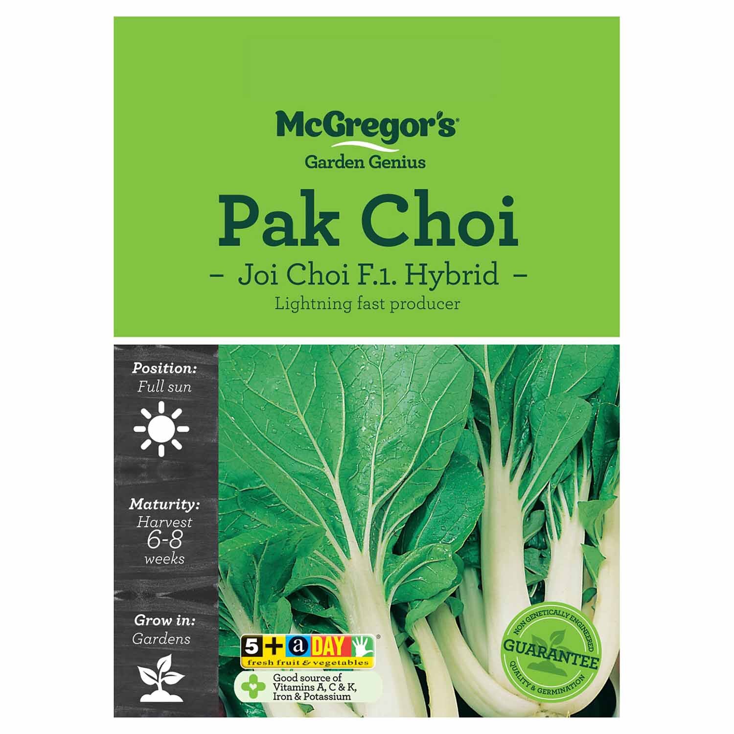 Joi Choi F1 Hybrid Pak Choi  Vegetable Seed