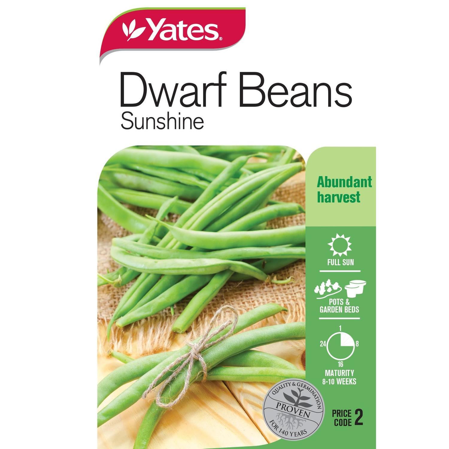 Dwarf Beans Sunshine