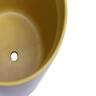 Indoor Adelle Pot and Saucer 6cm Mustard