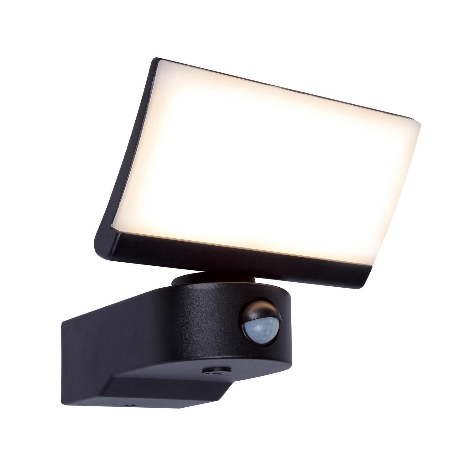 Security Sensor Light