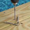 Structural Screw
