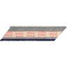 Collated Nails Value Pack with Fuel Cells