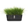 Plastic Trough with Saucer Black 50cm