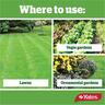 Garden Pressure Sprayer