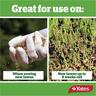 Yates Lawn Fertiliser For New Lawns 3kg
