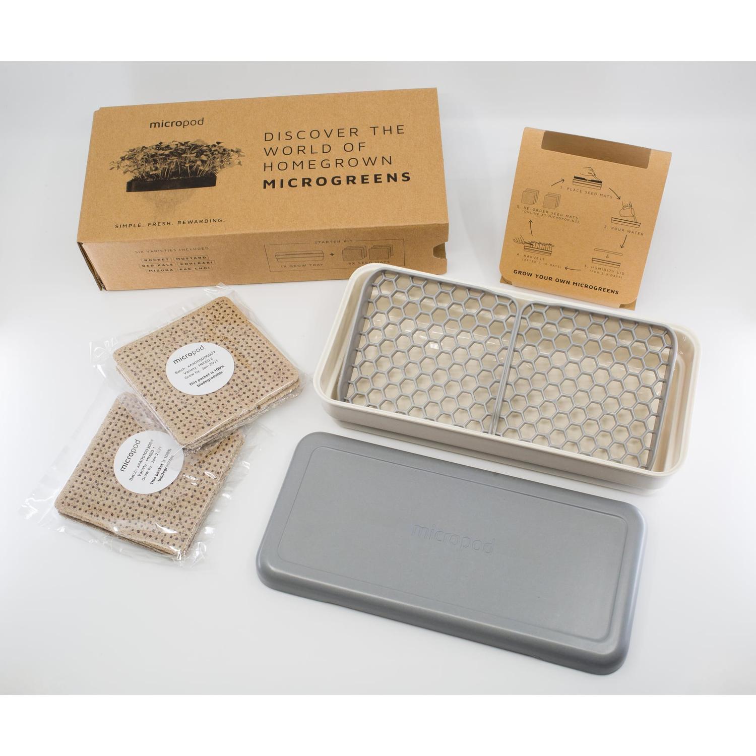Starter Kit Stone