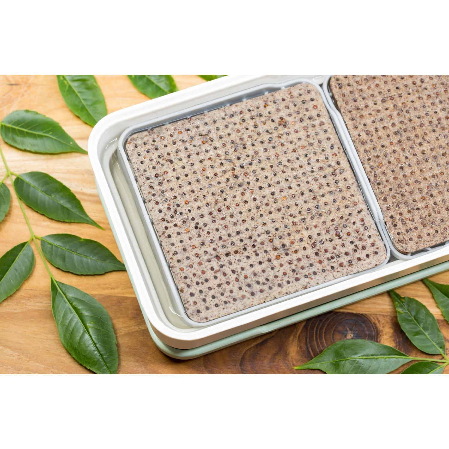 Seed mat Wellness Blend 6 pack