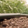 Landscape Drip Line